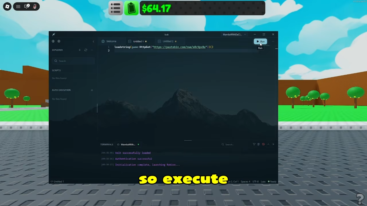 Executor interface running a Sell Lemons script